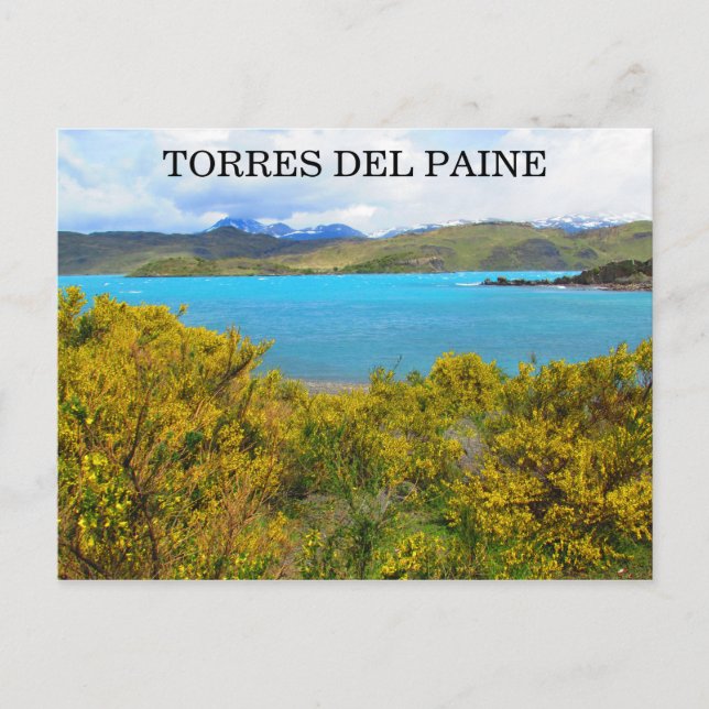 Gelbpatagonie Postkarte (Vorderseite)