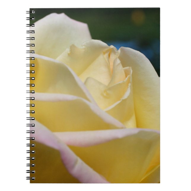 Gelbrosa Blume Natur Notizblock (Vorderseite)