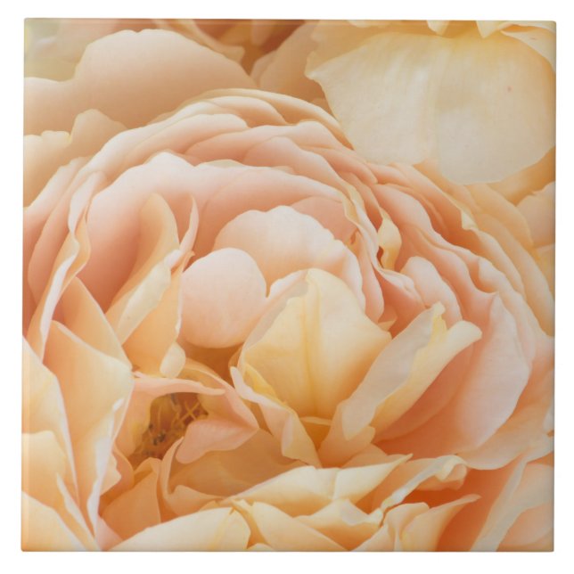 Gelbrose-Blume Fliese (Vorderseite)