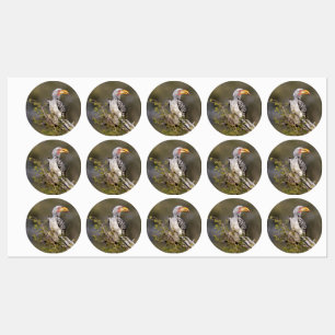 Gelbschnabelhecht Etiketten