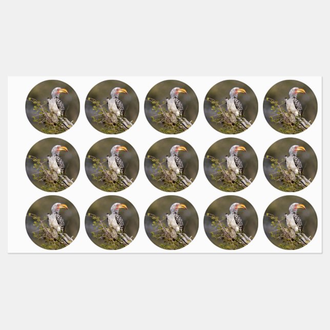 Gelbschnabelhecht Etiketten (Blatt)