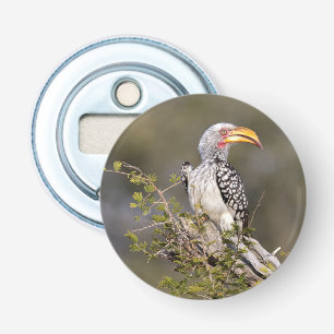 Gelbschnabelhecht Flaschenöffner