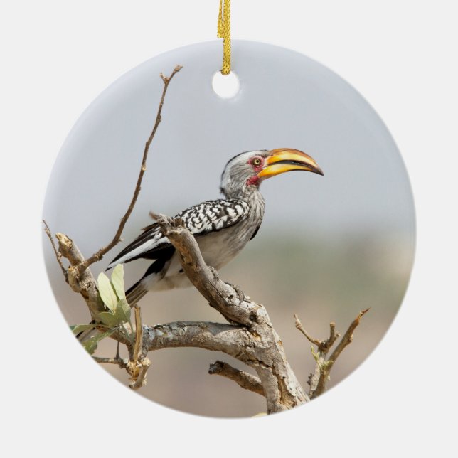 Gelbschnabelhecht Keramikornament (Hinten)
