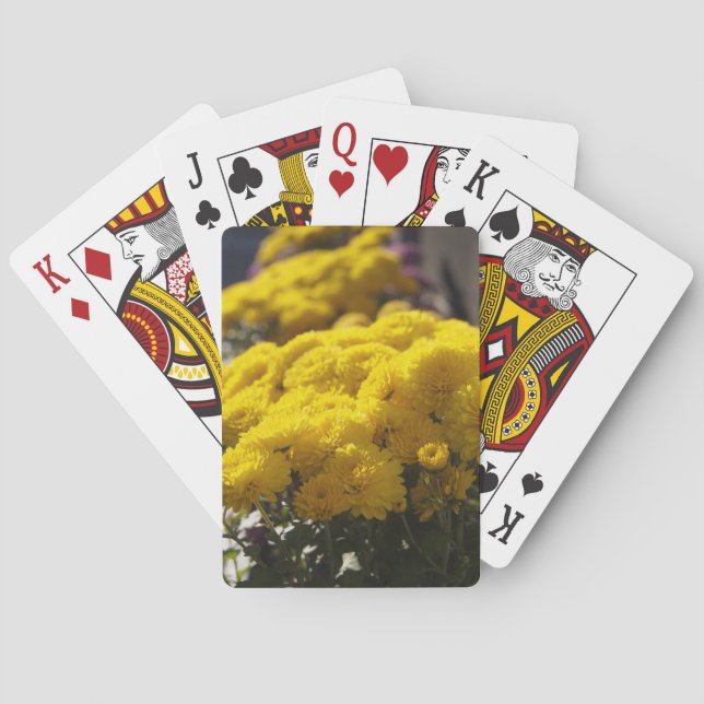 Gelbschwanzkolben Spielkarten (Rückseite)