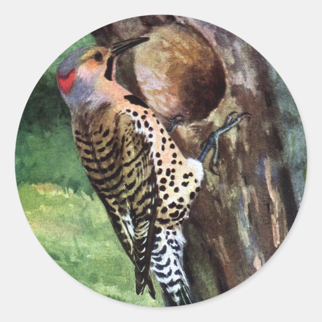Gelbschwingel-Flicker und Baumkavität Runder Aufkleber (Vorderseite)