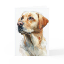 Gelbwasserfarbe des Labrador Retrievers