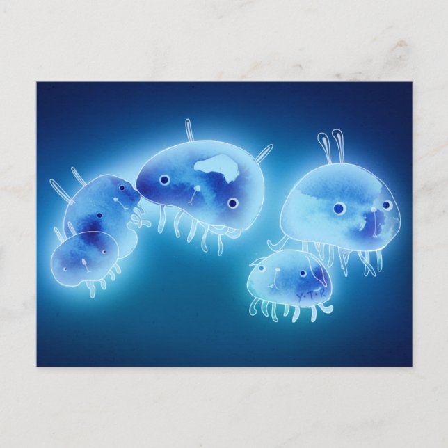 Gelee 2013 postkarte (Vorderseite)