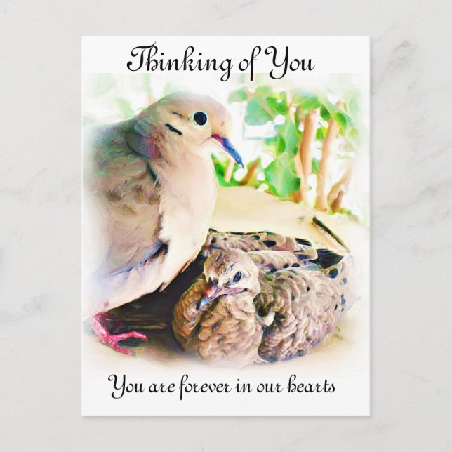 Gelegentlich_ Postkarte (Vorderseite)