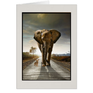 Gelegentliche Gedanken