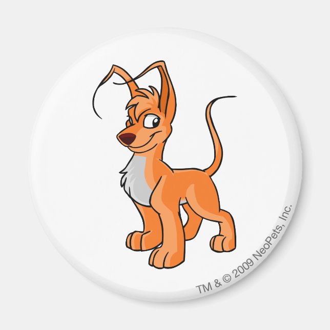 Gelert Orange Magnet (Vorne)