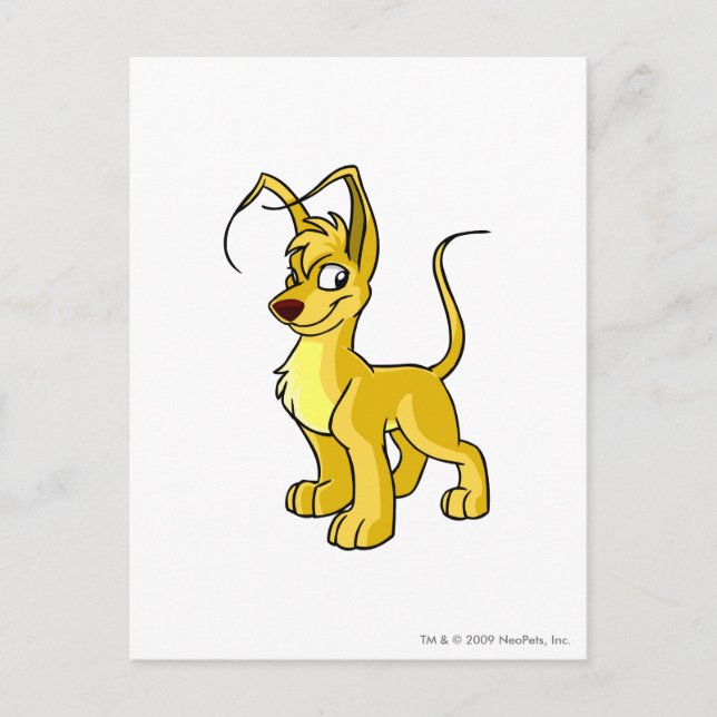 Gelert Yellow Postkarte (Vorderseite)