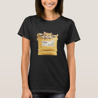 Geliefertes Katzenpaket Überraschung Tee