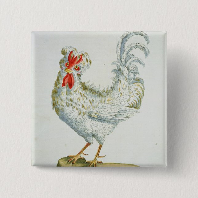 Gelockter junger Hahn, c.1767-76 (Hand farbiges en Button (Vorderseite)