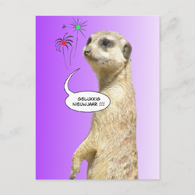 Gelukig Nieuwjaar Stokstaartje Briefkaart Postkarte (Vorderseite)