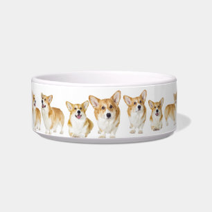 Gemacht für Abgabe, entzückender Corgi-mittlere Napf
