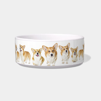 Gemacht für Abgabe, entzückender Corgi-mittlere Napf