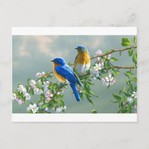 Gemälde-Blume-Vögel-Tiere-Schreibtisch-l- Postkarte