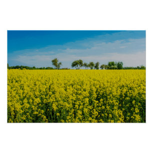 Gemälde eines Feldes mit gelben Blumen Poster