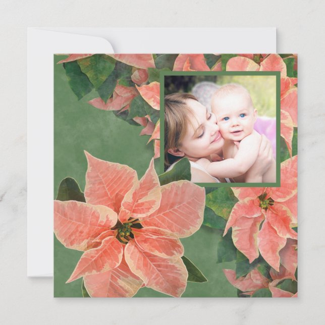 Gemälde Korallenpoinsettia Foto Weihnachten (Vorderseite)