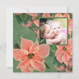 Gemälde Korallenpoinsettia Foto Weihnachten