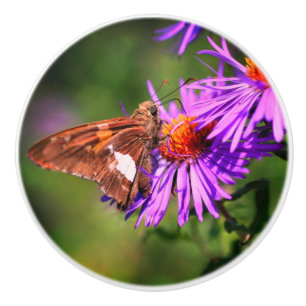 Gemälde Lady Butterfly Wild Aster Blume Keramikknauf