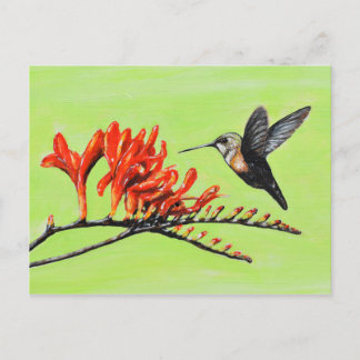 Gemälde von Hummingvogel und Krokodilchen Postkarte