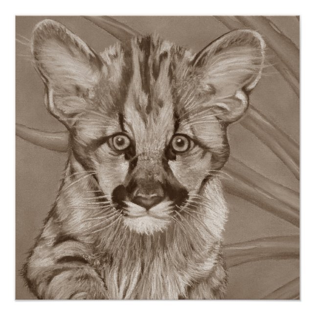 Gemälde von niedlichen Katzenwelten Poster (Vorderseite)