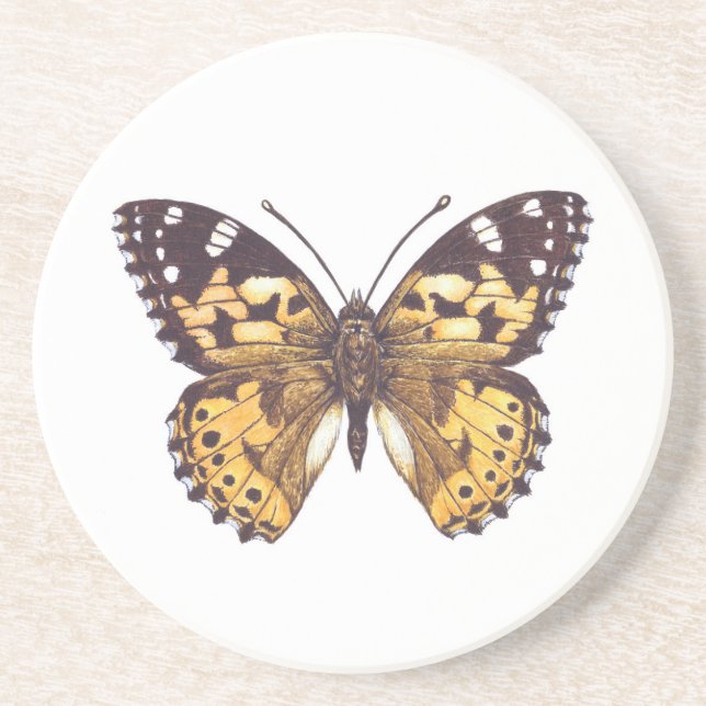 Gemäldeschmetterling Getränkeuntersetzer (Vorne)