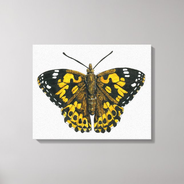 Gemäldeschmetterling Leinwanddruck (Vorderseite)