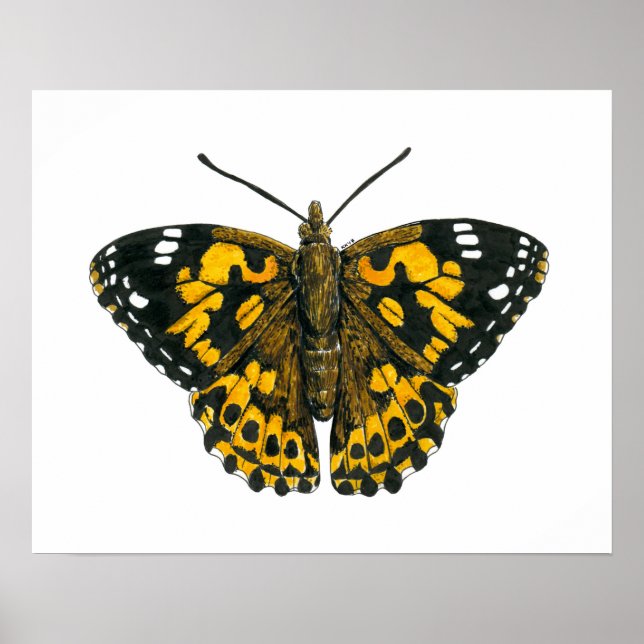 Gemäldeschmetterling Poster (Vorne)