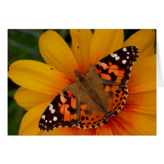 Gemäldete Lady Butterfly