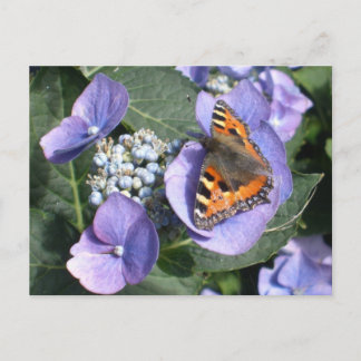 Gemäldete Lady Butterfly 1 Postkarte