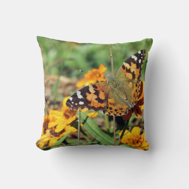 Gemäldete Lady Butterfly auf Zinnia Throw Kissen (Vorderseite)