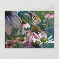 Gemäldete Lady Butterfly Coneflowers Wasserfarben 