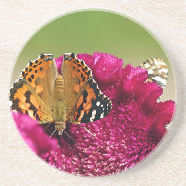 Gemäldete Lady Butterfly Getränkeuntersetzer (Vorne)