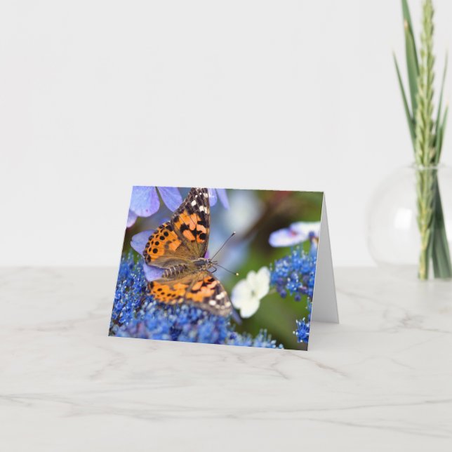 Gemäldete Lady Butterfly Grußkarte Dankeskarte (Vorderseite)