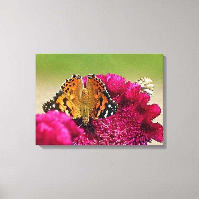 Gemäldete Lady Butterfly Leinwanddruck (Vorderseite)