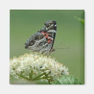 Gemäldete Lady Butterfly Magnet