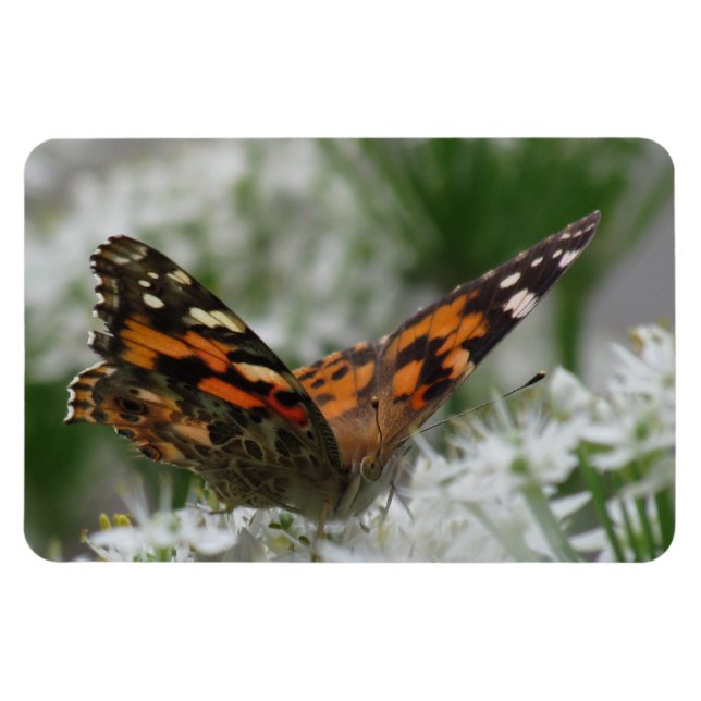 Gemäldete Lady Butterfly Magnet (Horizontal)