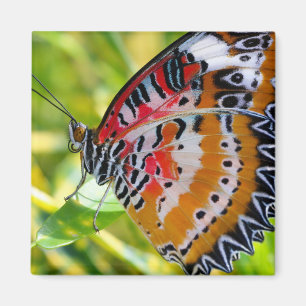 Gemäldete Lady Butterfly Magnet