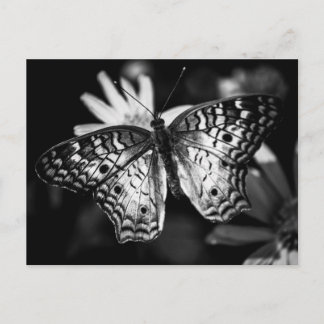 Gemäldete Lady Butterfly - Postkarte