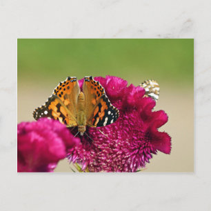 Gemäldete Lady Butterfly Postkarte