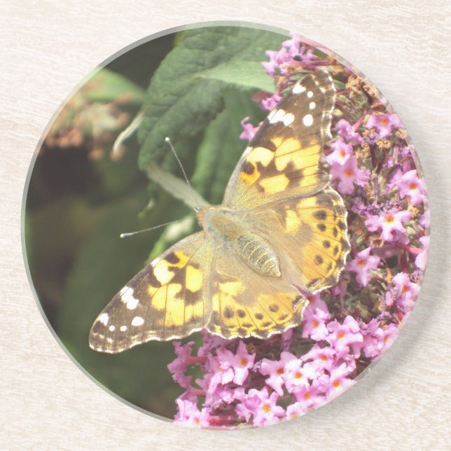 Gemäldete Lady Butterfly Sandstein Untersetzer (Vorne)