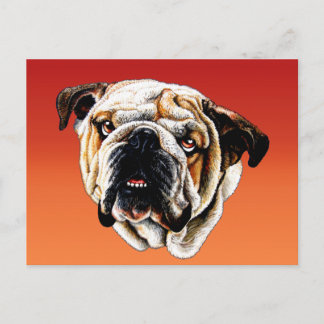 Gemäldetes Bulldoggesicht Postkarte