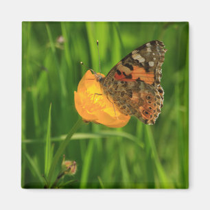 Gemalte Dame Butterfly Magnet