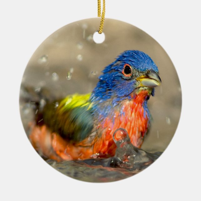 Gemalte Flagge - schöne Vogel-Verzierung Keramikornament (Vorne)