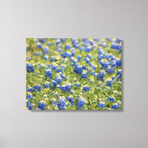 Gemalte Leinwand: Texas-Wildblumebluebonnet-Feld Leinwanddruck