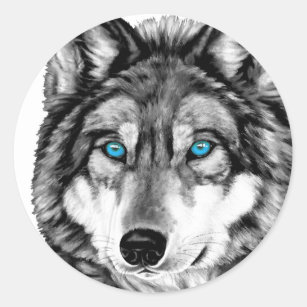 Wolf Auge Aufkleber Zazzle Ch