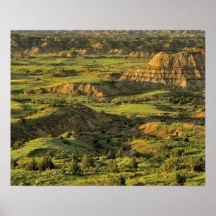 Gemalter Canyon nach Sturm in Theodore Roosevelt Poster