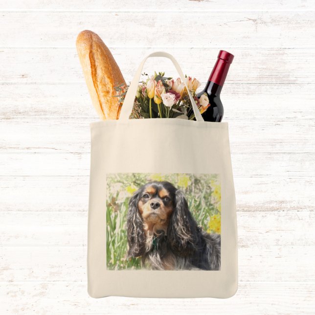 Gemalter Cavalier King Charles Spaniel Tragetasche (Von Creator hochgeladen)